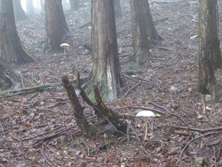 s-P1000834.jpg