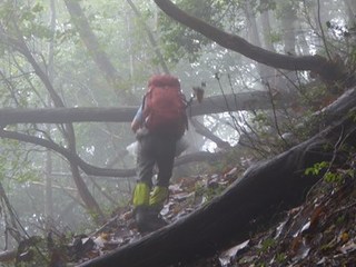 s-P1000839.jpg