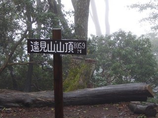 s-P1000844.jpg