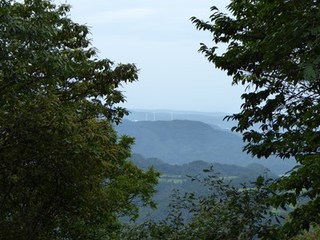 s-P1000856.jpg