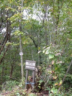 s-P1000858.jpg