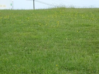 s-P1000877.jpg