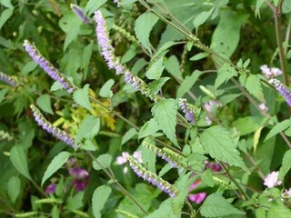 s-P1000895.jpg