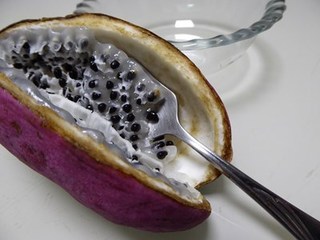 s-P1000899.jpg