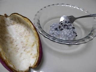 s-P1000901.jpg