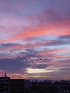 s-P1000905.jpg