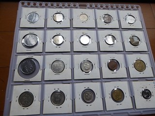 s-P1000927.jpg
