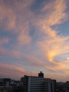s-P1000939.jpg