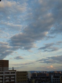 s-P1000944.jpg