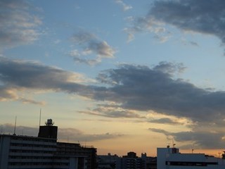 s-P1000945.jpg