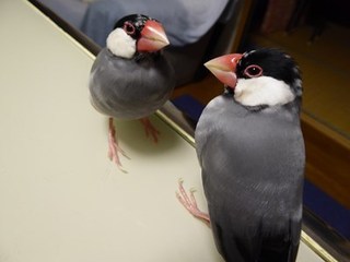 s-P1000954.jpg