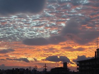 s-P1000970.jpg
