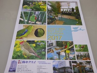 s-P1000996.jpg