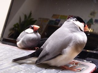 s-P1010004.jpg