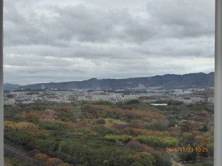 s-P1010043.jpg