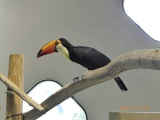s-P1010059.jpg