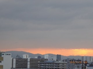 s-P1010079.jpg