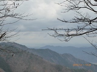 s-P1010095.jpg