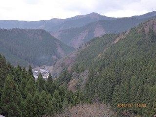 s-P1010102.jpg