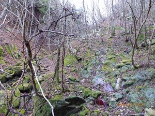 s-P1010113.jpg