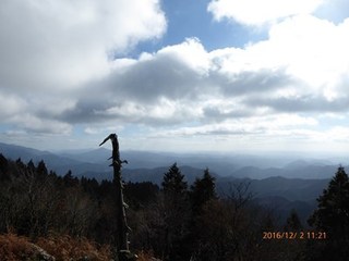 s-P1010114.jpg