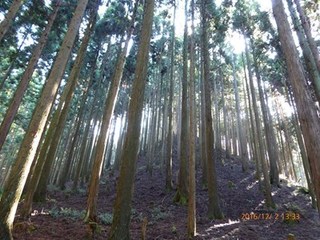 s-P1010120.jpg