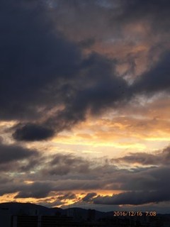 s-P1010141.jpg