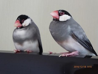 s-P1010168.jpg