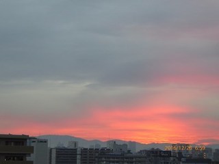 s-P1010182.jpg
