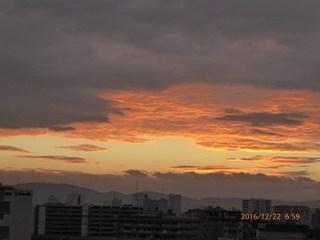 s-P1010187.jpg