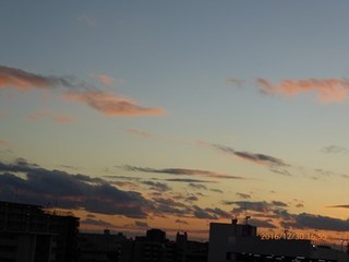s-P1010198.jpg