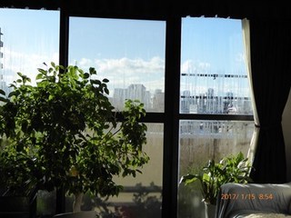 s-P1010219.jpg