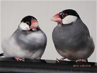 s-P1010240.jpg
