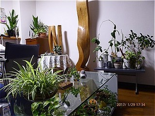 s-P1010246.jpg