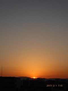s-P1010247.jpg