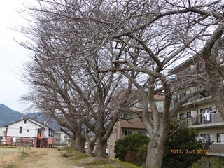 s-P1010252.jpg