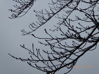 s-P1010253.jpg