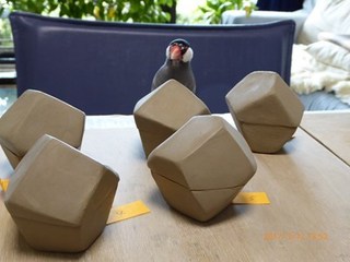 s-P1010266.jpg