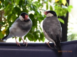 s-P1010268.jpg