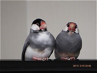 s-P1010272.jpg