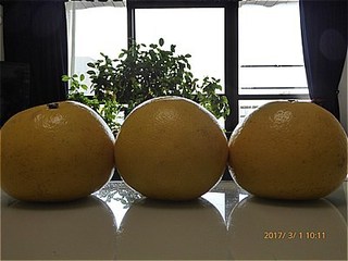 s-P1010290.jpg