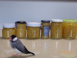 s-P1010295.jpg