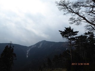 s-P1010331.jpg