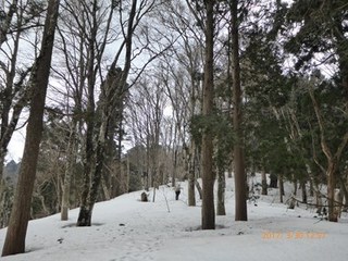 s-P1010341.jpg