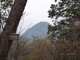 s-P1010365.jpg