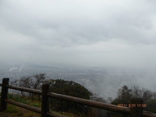 s-P1010383.jpg