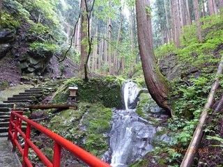 s-P1010438.jpg