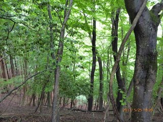 s-P1010441.jpg