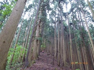 s-P1010443.jpg