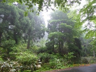 s-P1010459.jpg